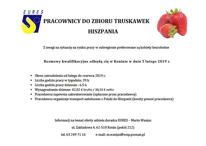 Oferta pracy dla pracowników do zbioru truskawek (Hiszpania)